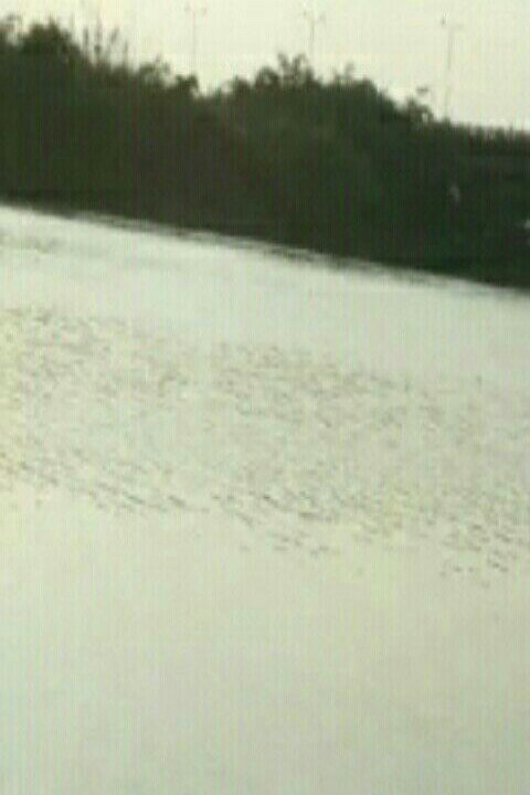 付集双庙四方鱼塘