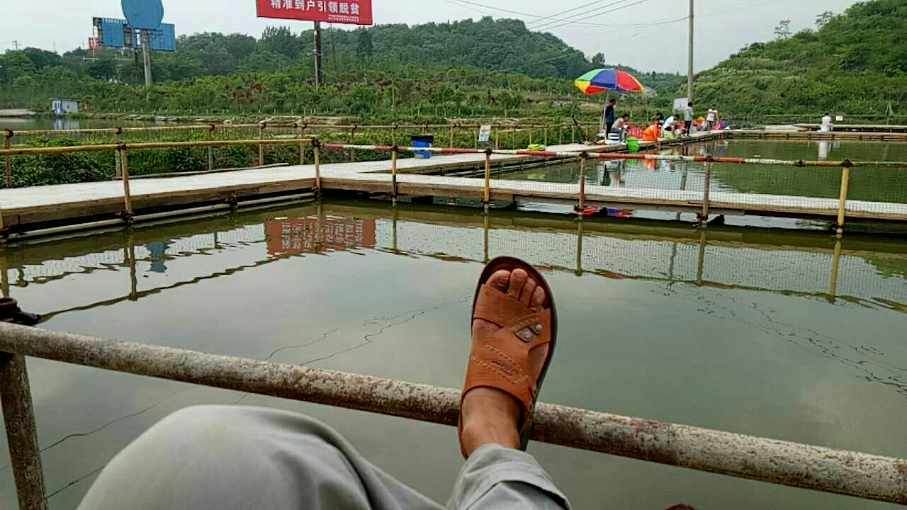 遵义市八里西来寺渔乐园休闲垂钓基地