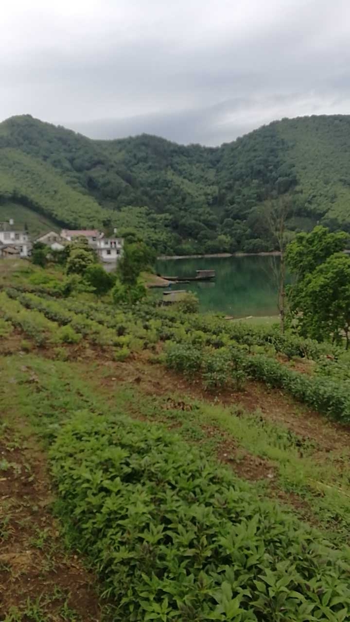 太平湖曙光钓鱼场