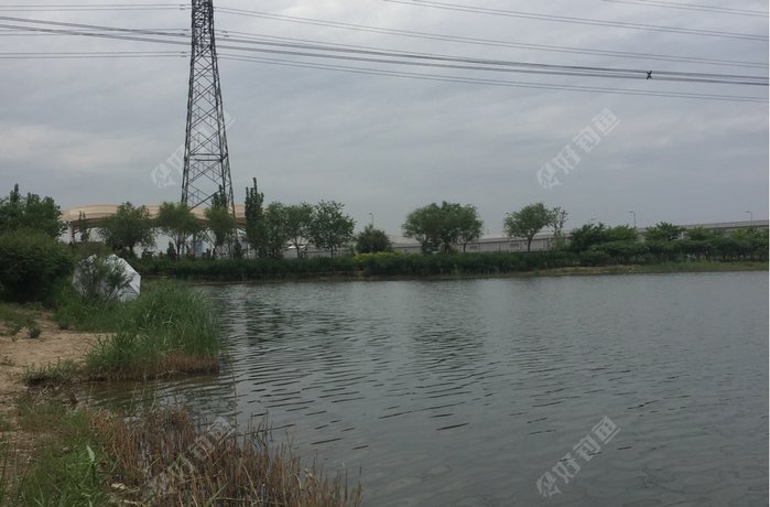 三星电子旁边水库