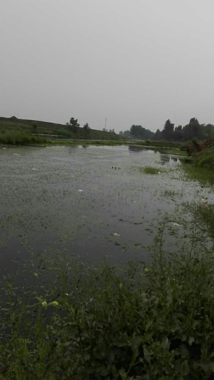 南候村村南青水河