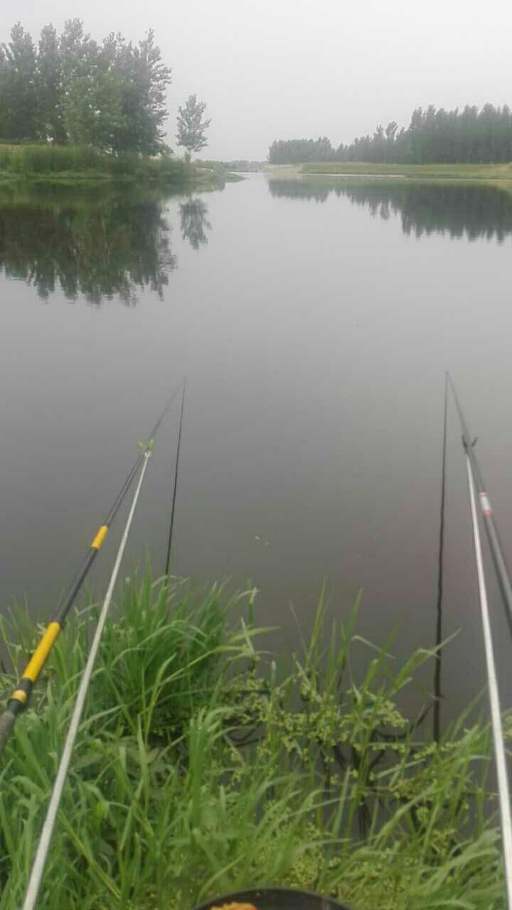 大河屯褚庄桥头