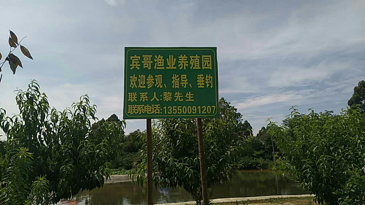 宾哥渔业养殖园