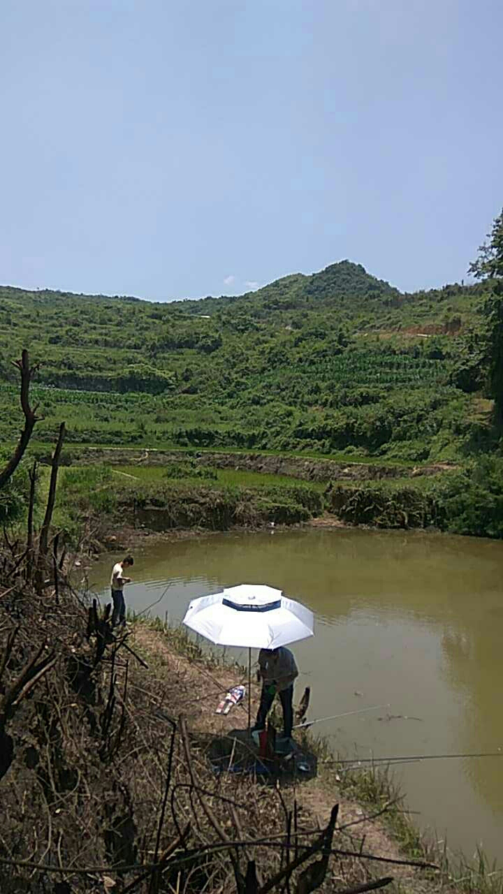 杨家马路后500米