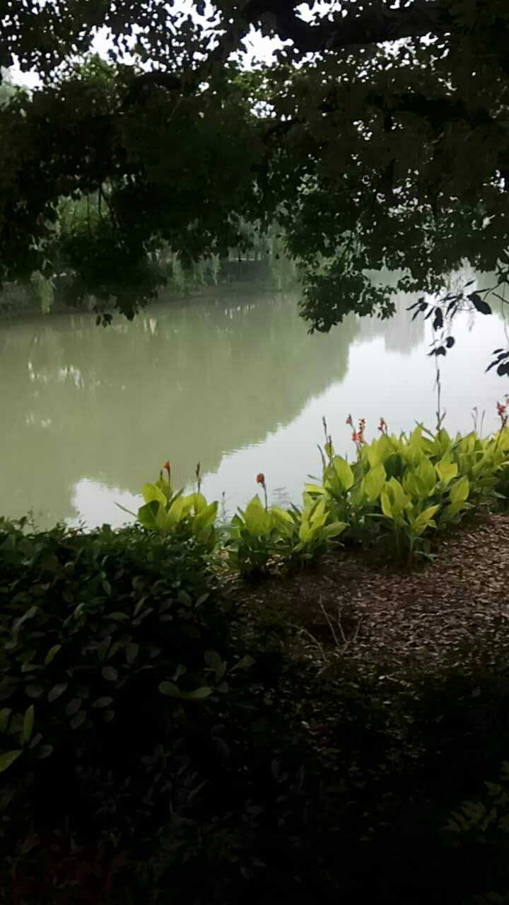 祥符街道社区卫生服务中心后野河