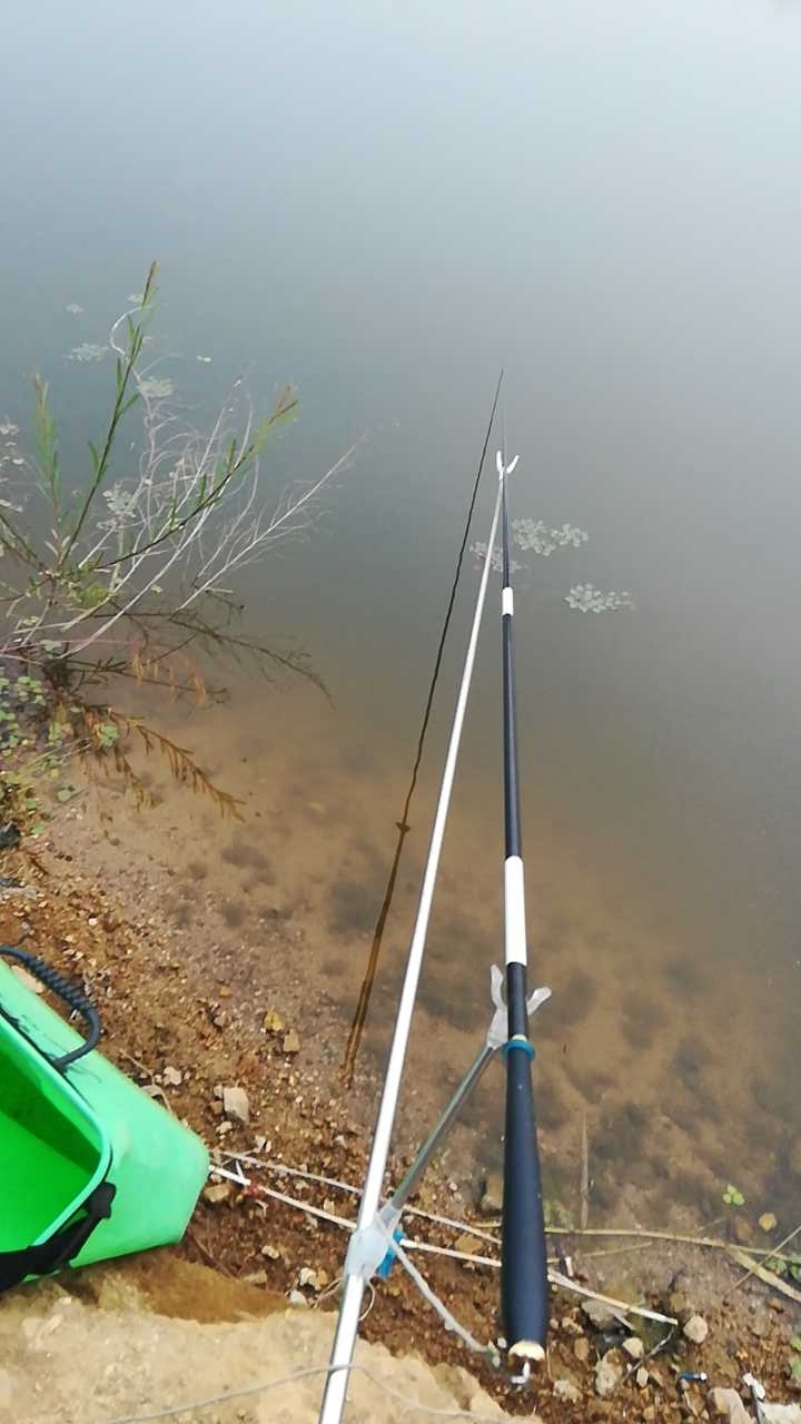 辛安河解家庄镇南水桃林