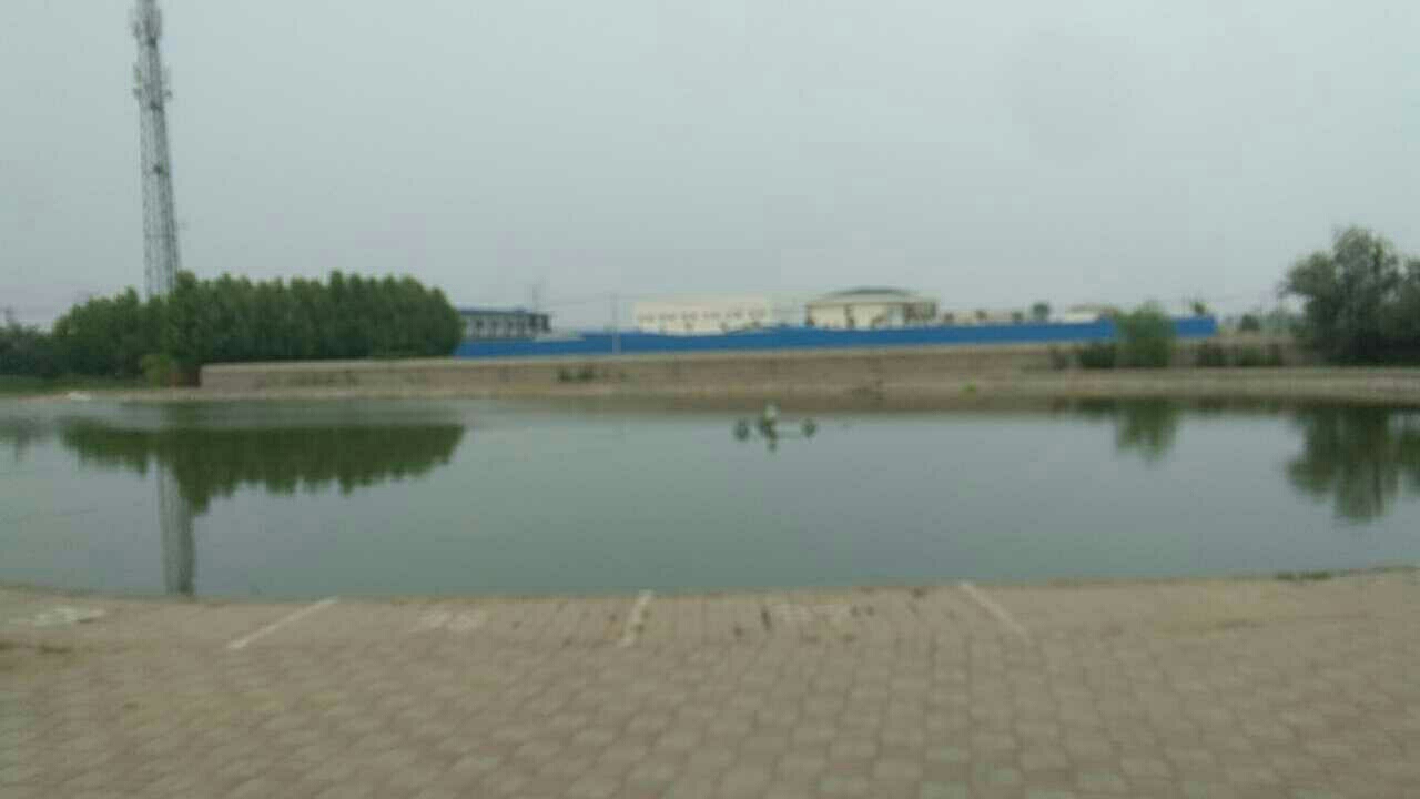 任县大渔塘大物坑