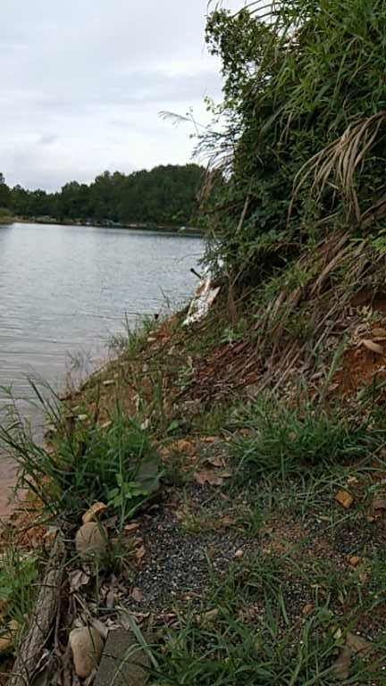 武宁海心大酒店外和