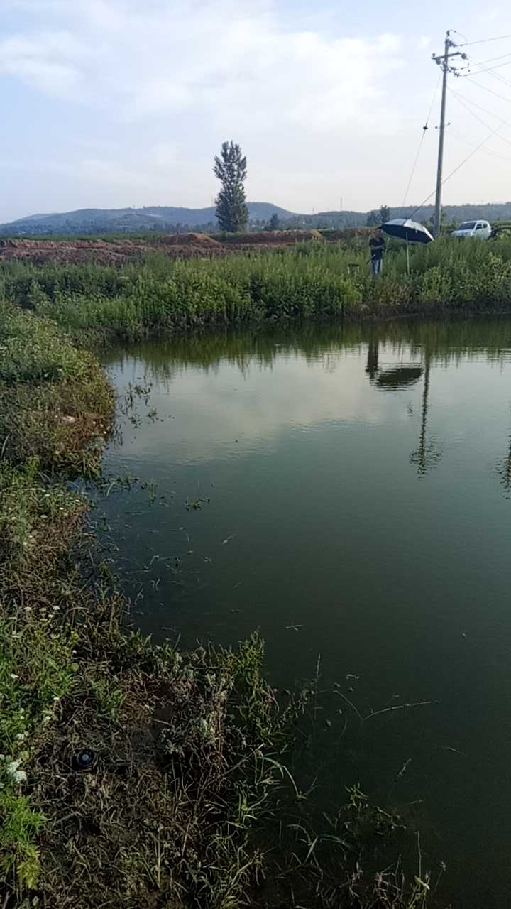 潞城漳河边野塘