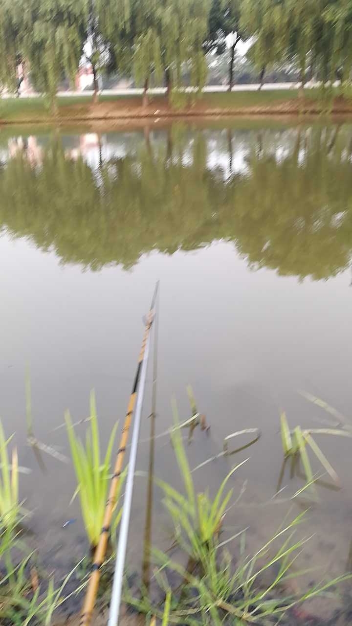 312国道与东城大道交叉口