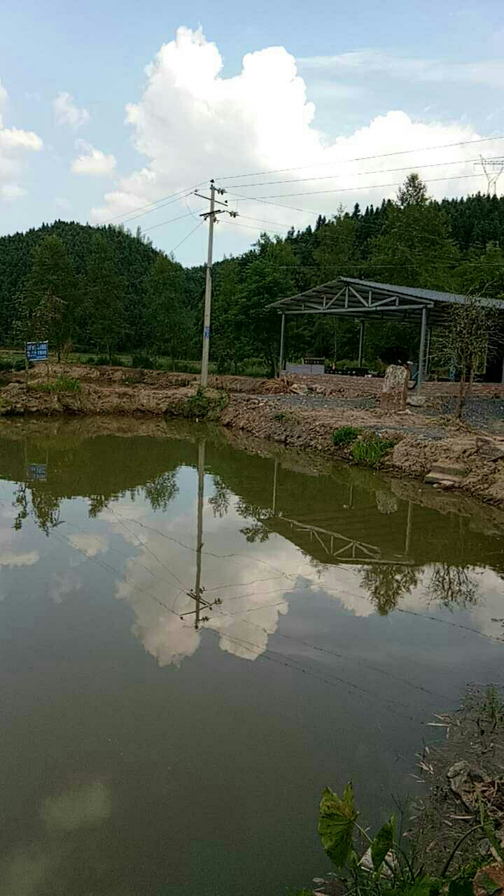 郴州市逍遥农场