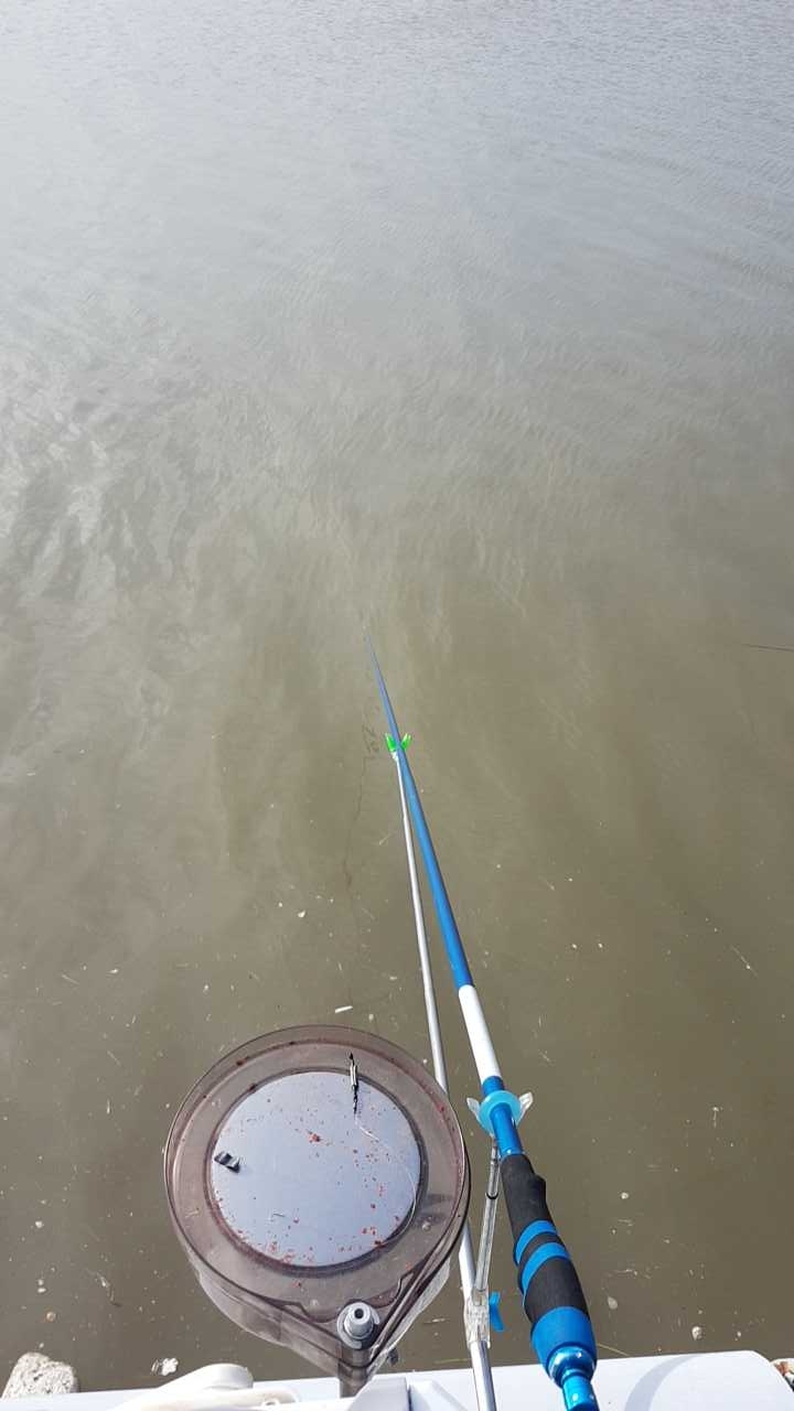 吕四港口海钓点