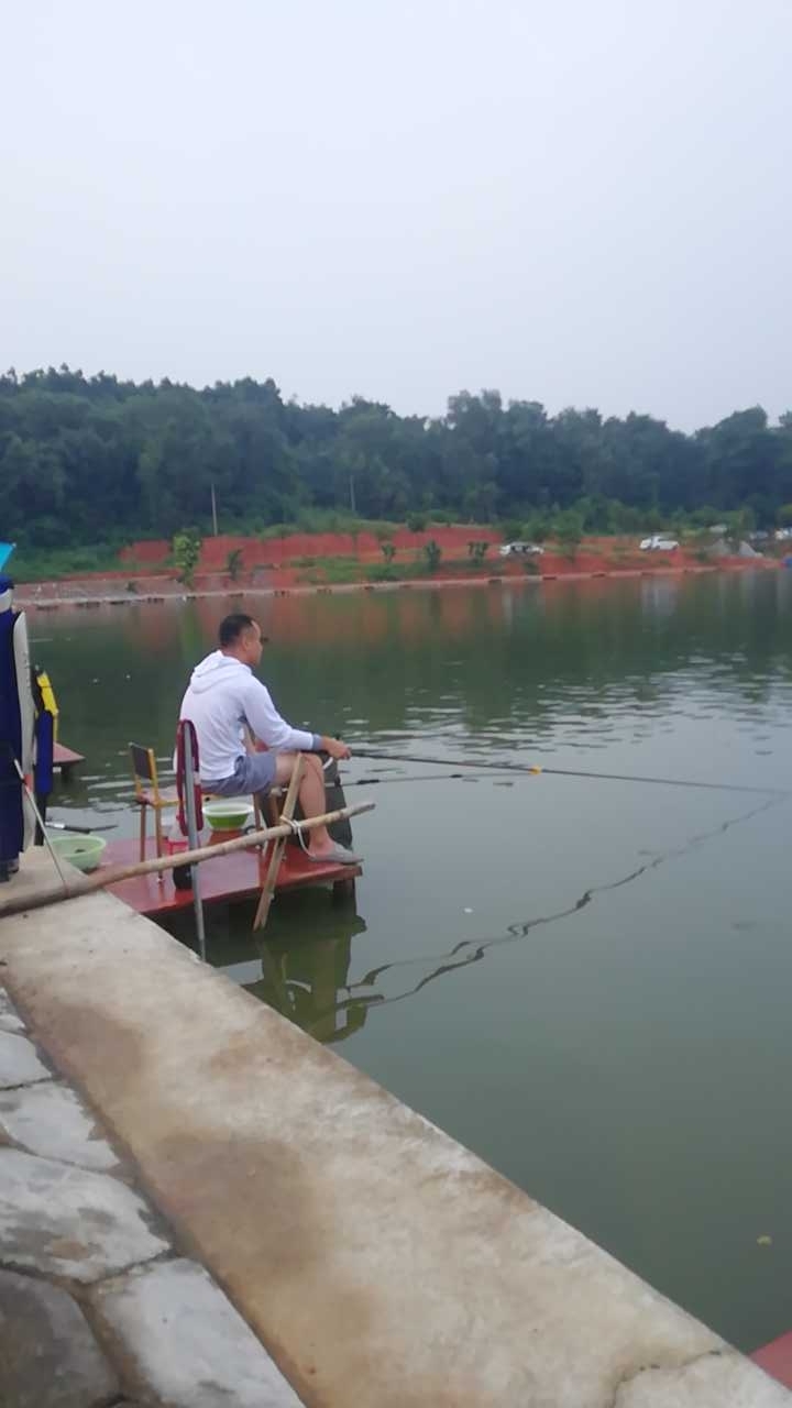 佛山植物园钓鱼台