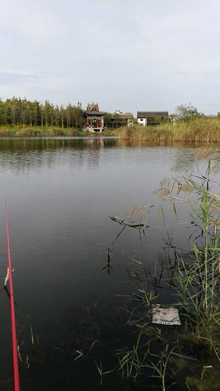 唐岛湾公园五号门