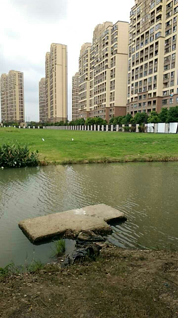 裕花园小区旁野河