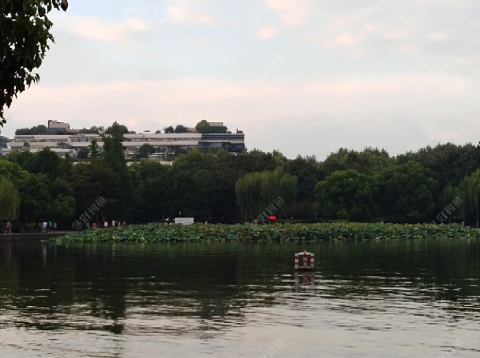 这是西湖湖滨荷花池