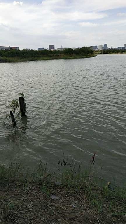 万象城学府北路桔子林