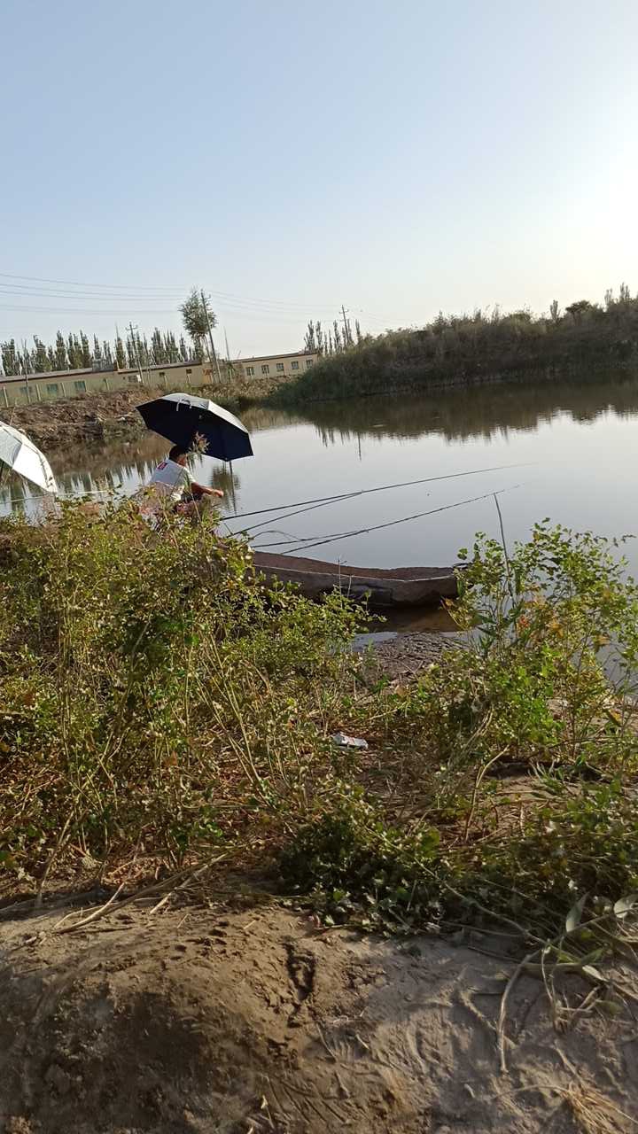 野鱼休闲垂钓