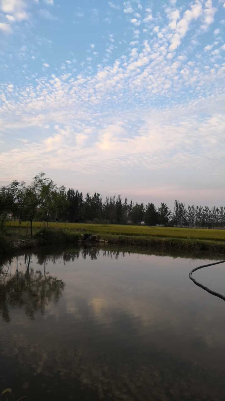 跃进原生态垂钓园