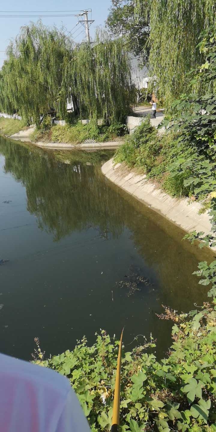 仙桃市兴荣米业门口的小河