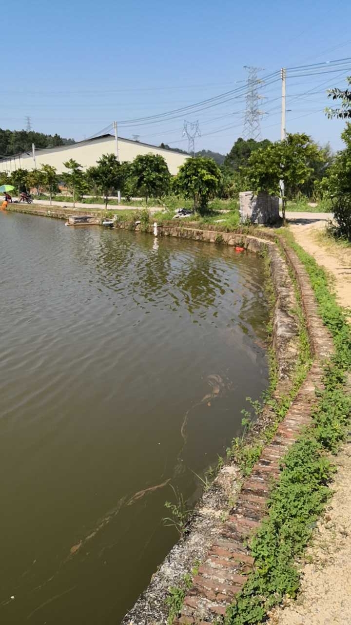 河源钓场_河源市钓场大全_河源市能钓鱼的地方 好钓鱼