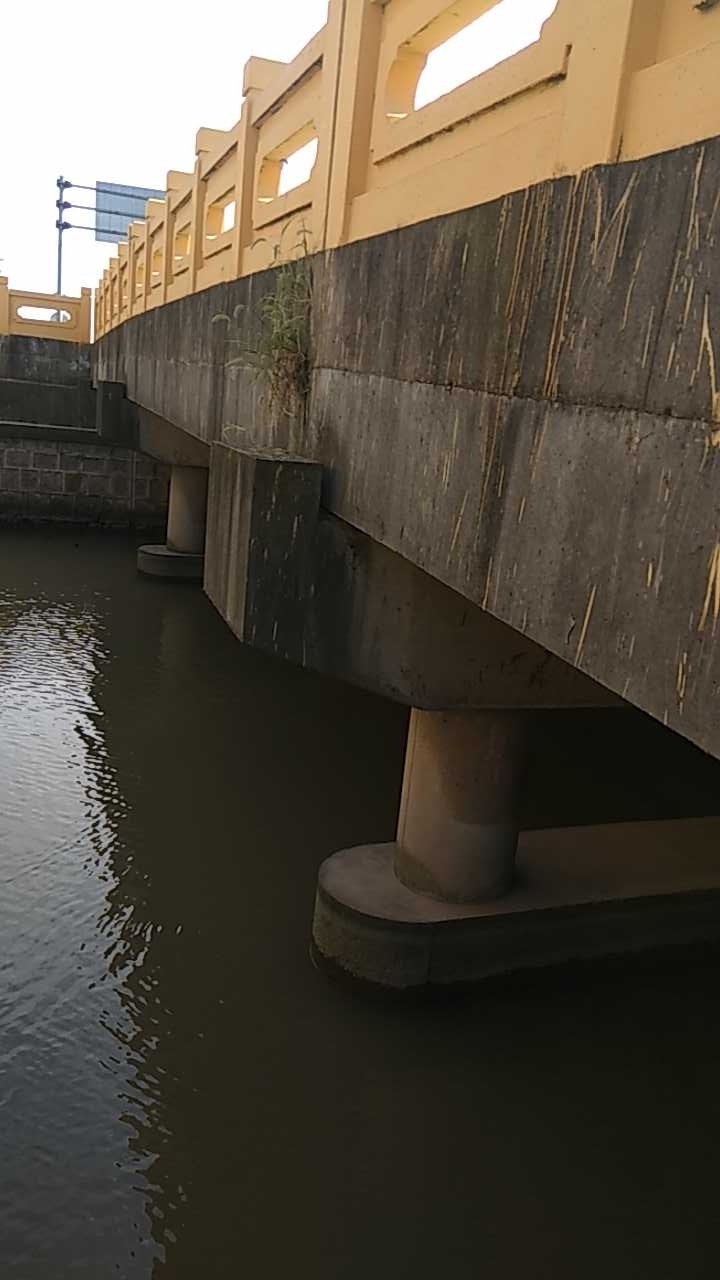 龙东大道旁边的野河