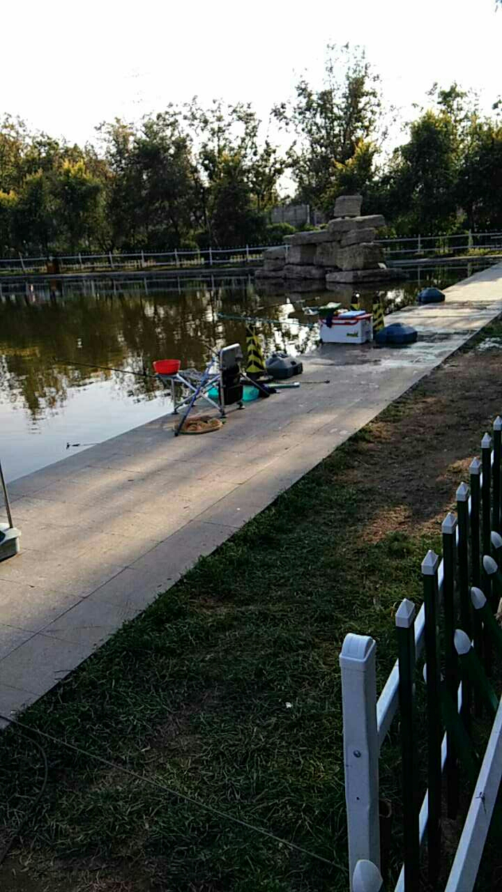 清水湾钓场