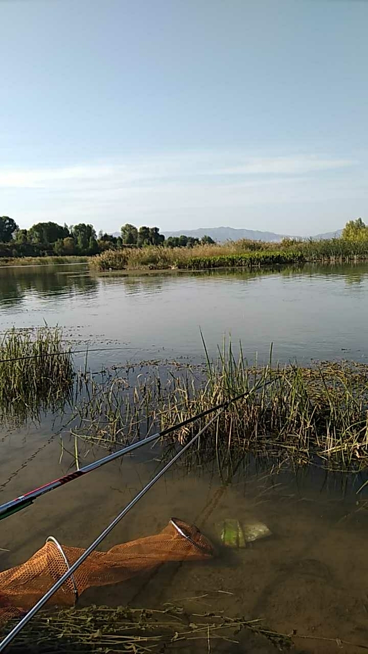 汾河阳兴桥南湾湾