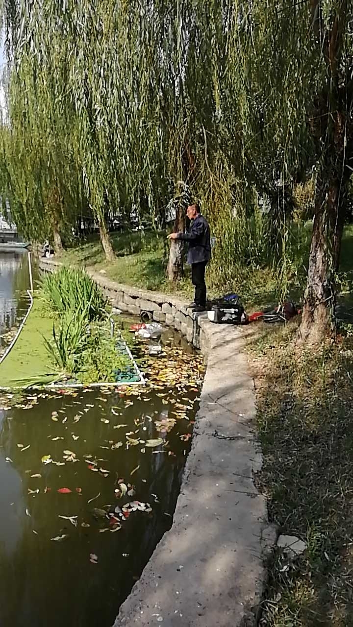 永越新村公园河