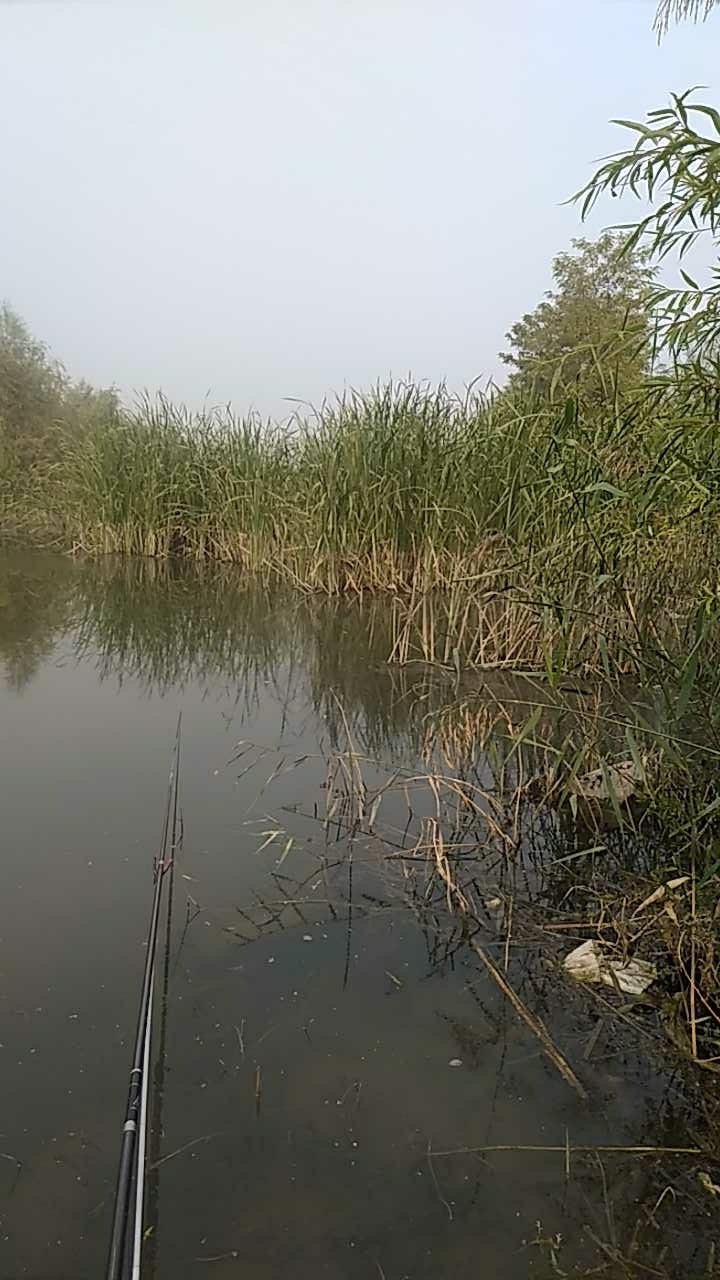 柴村桥北汾河排洪沟