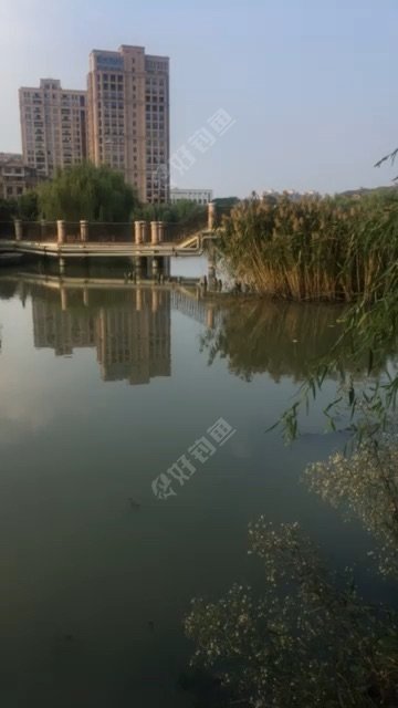 秀水华庭人工湖