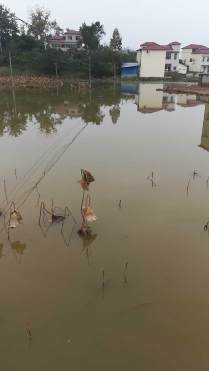 金堂县金龙农大生态园