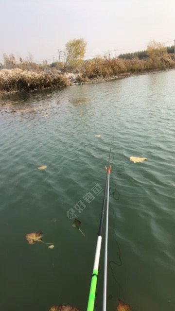 李明庄，砖厂大坑