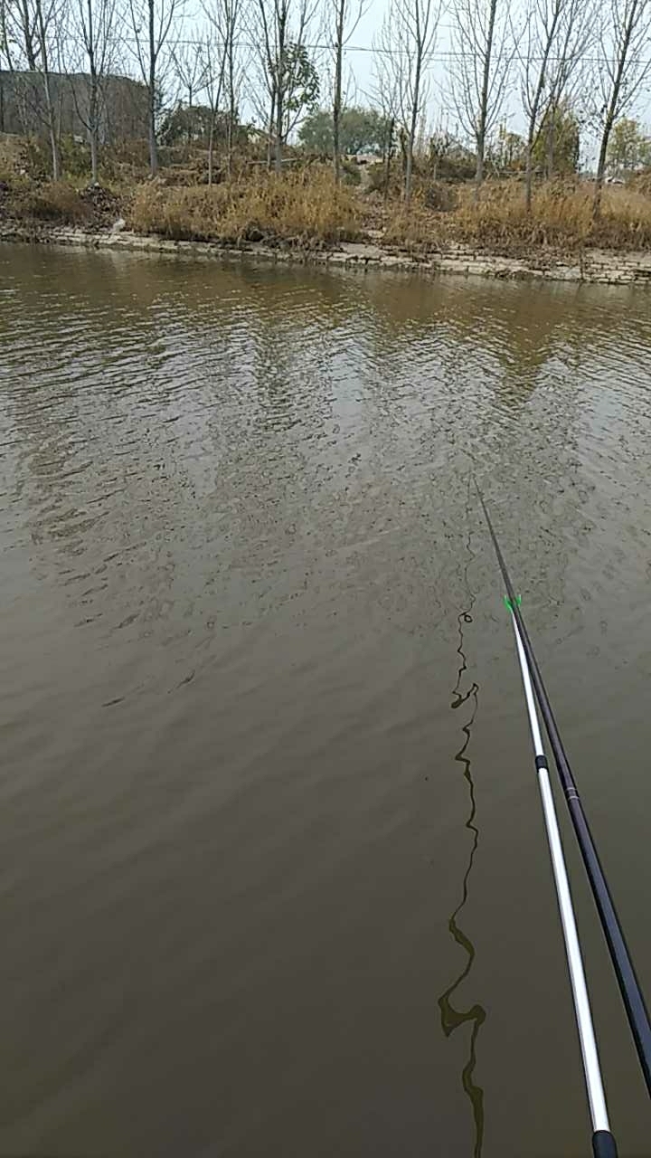 高唐皇殿东石头河