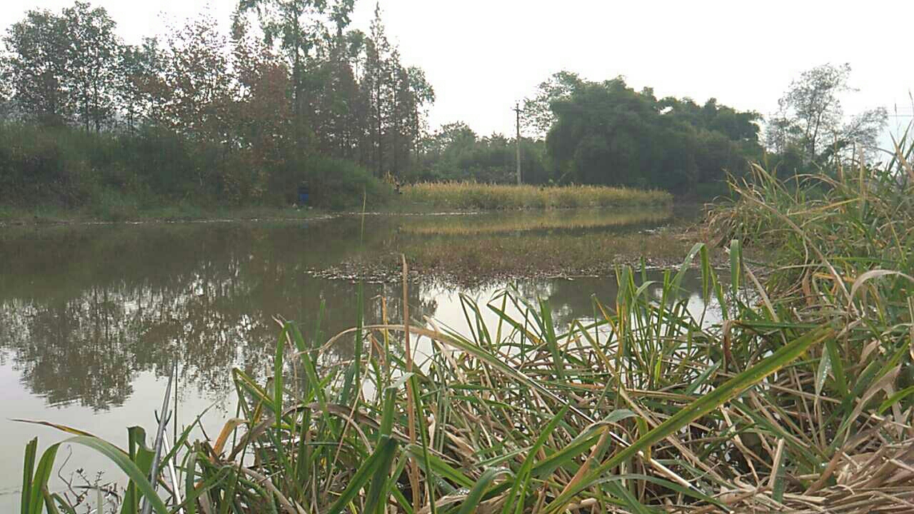 沙湾区太平镇孙坝村