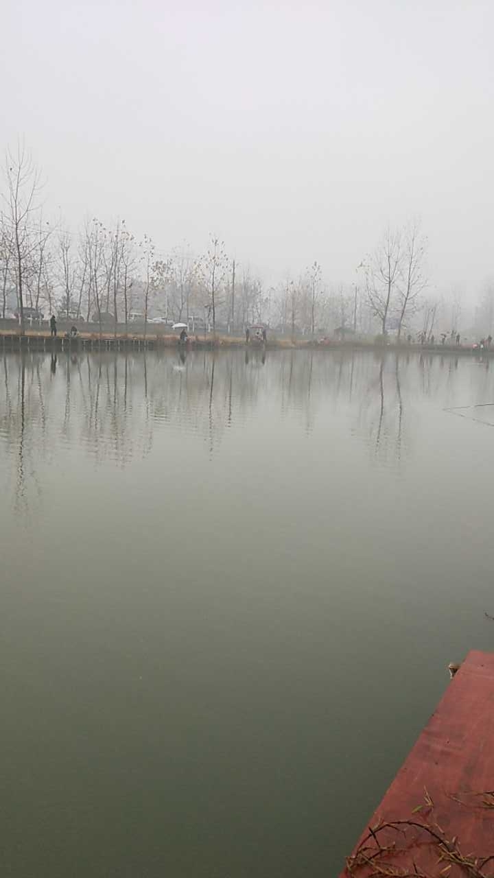 天门工业园郭洲钓鱼台