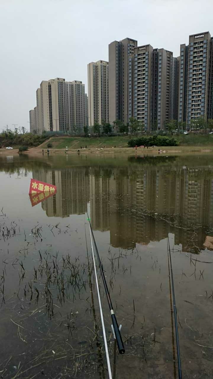 兴隆湖附近一个野塘