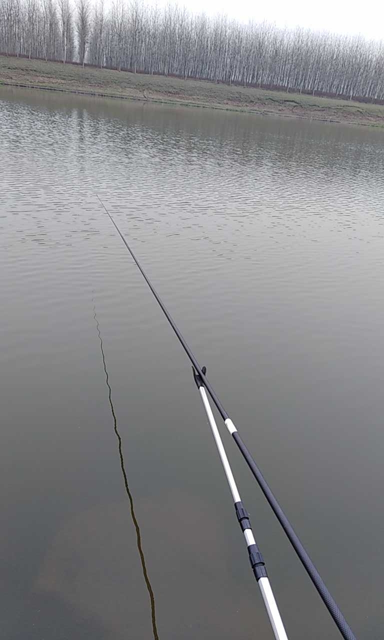 焦市河河边有石头