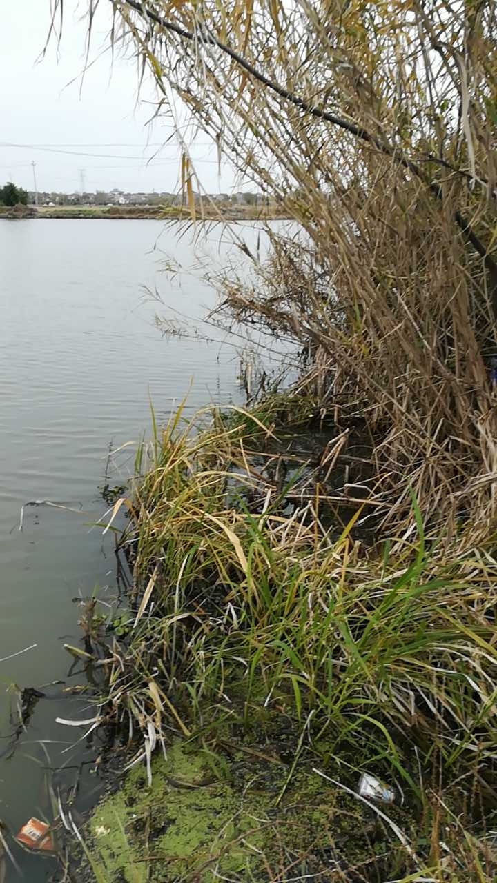 塘汇久盛驾校南