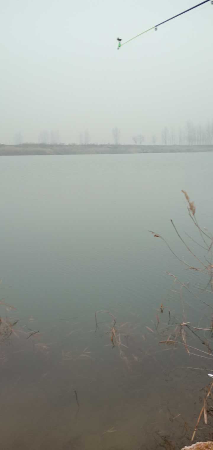 王诗安东地沙坑