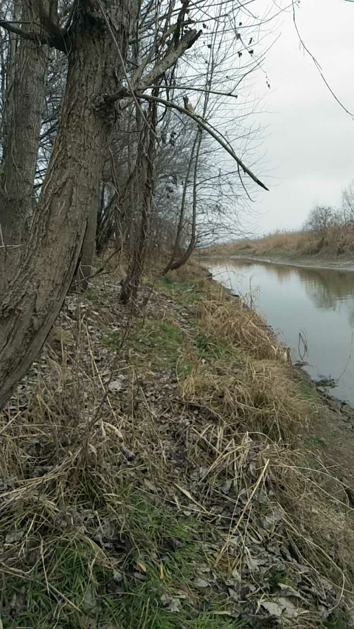 浦口区高旺河口