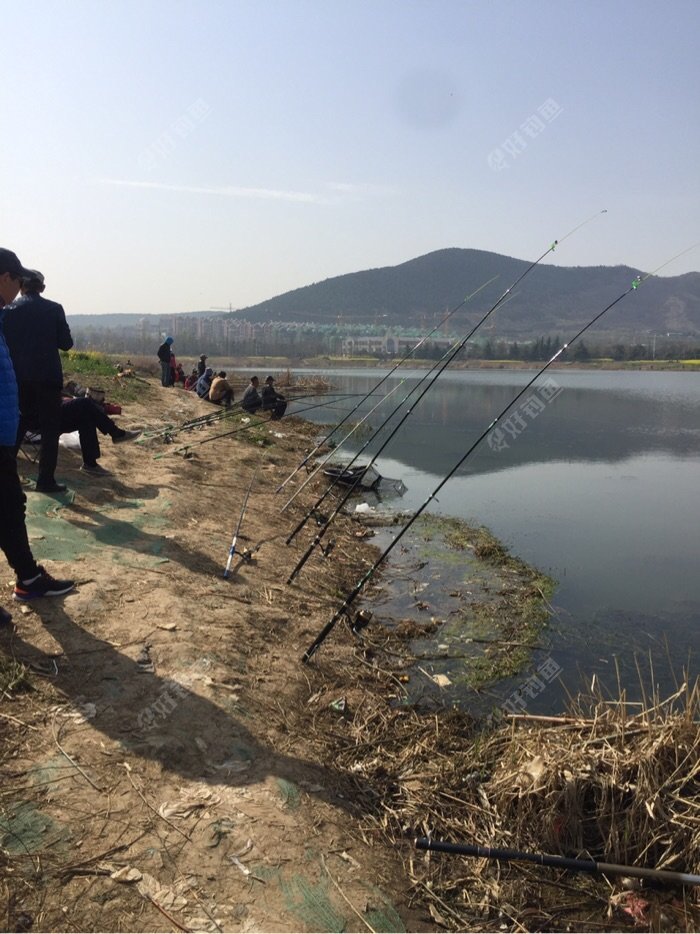 海杆排成长龙