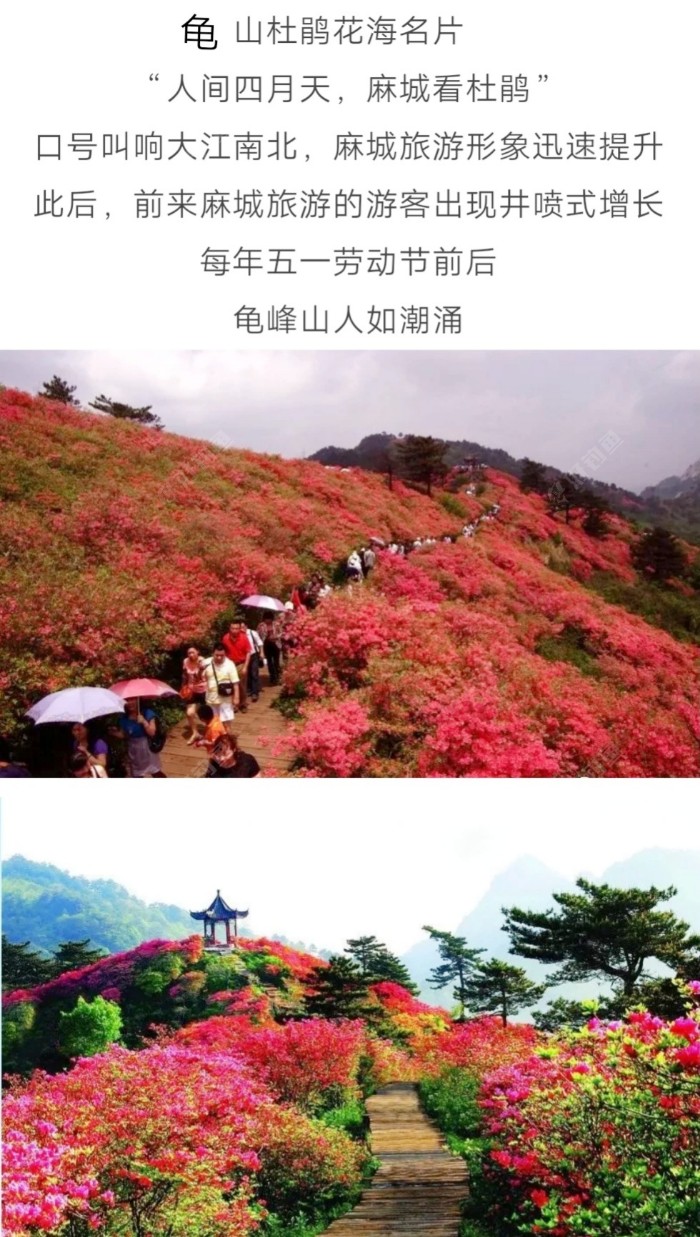 麻城欢迎您！