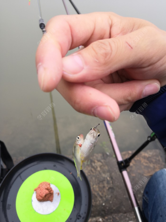 双飞4