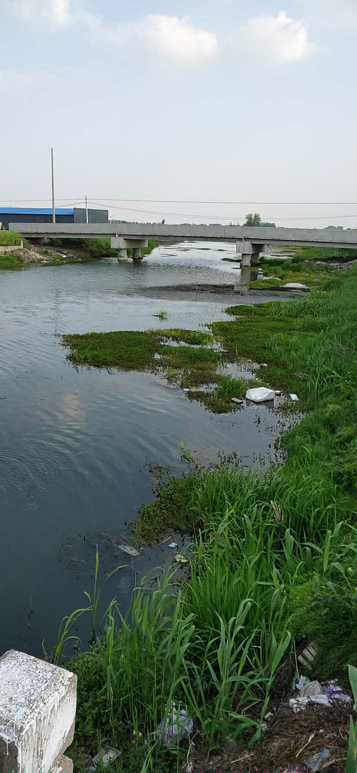 野钓  黑坑