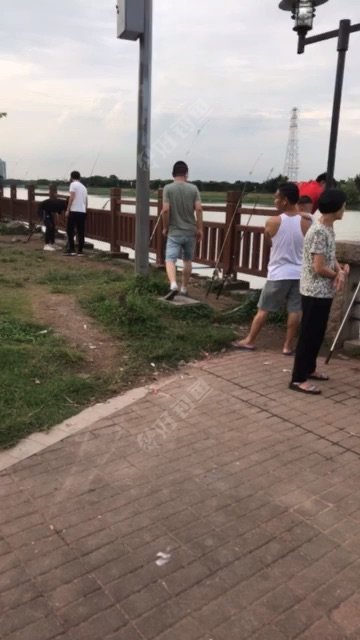 珠江上游彩滨北路公交站附近