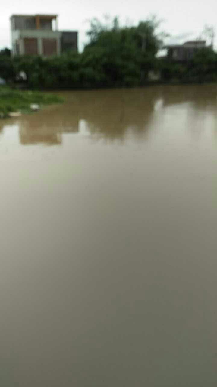 坦洲大涌口内河