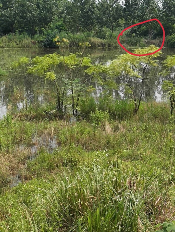 转来转去，好不容易来到对面