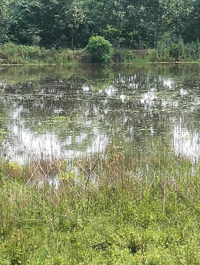 不得不让人怀疑:这还能钓吗