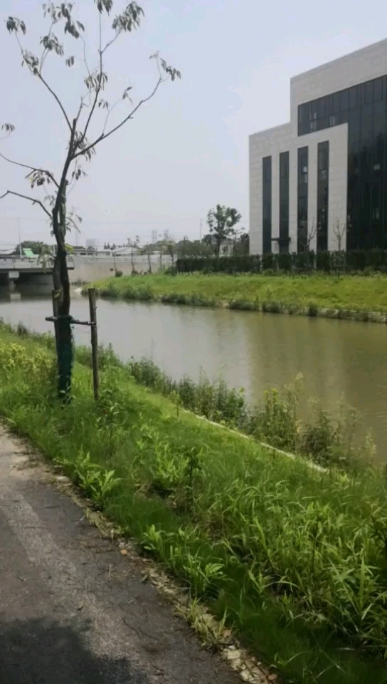 友谊西路富桥路